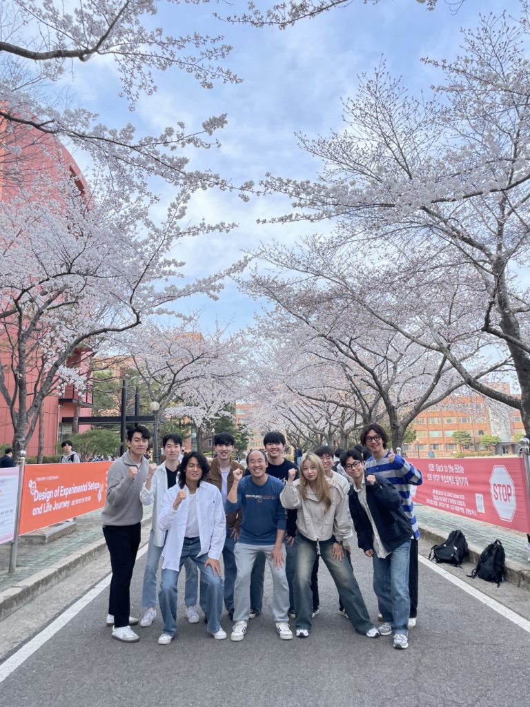 2024 Cherry Blossom Festival